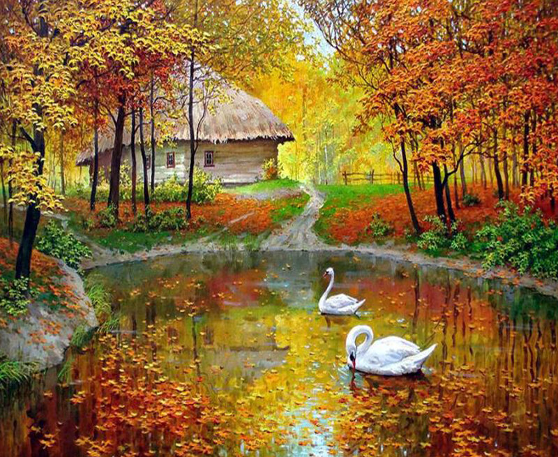 Swans in Autumn Pond