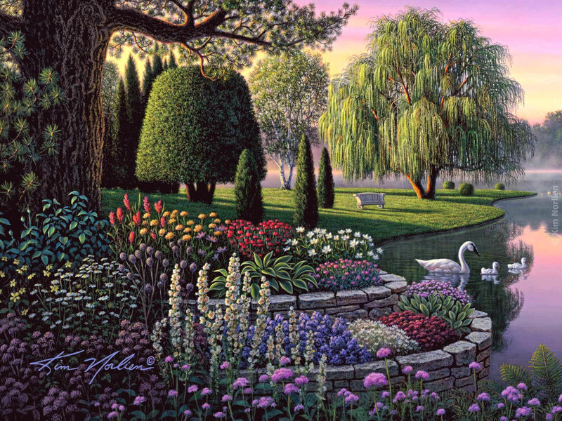 Swans in Garden Pond — Green, Serene