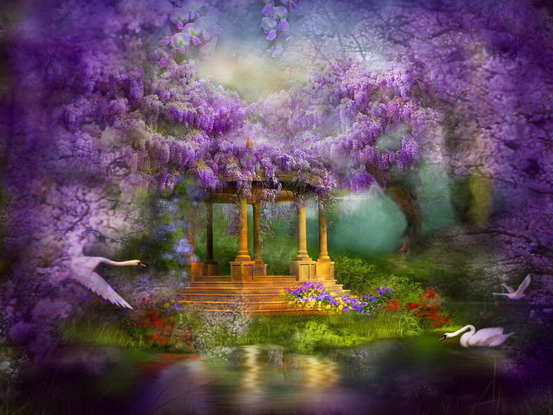 Swans in Garden