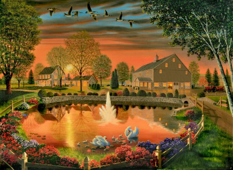 Swans in Pond at Sunset