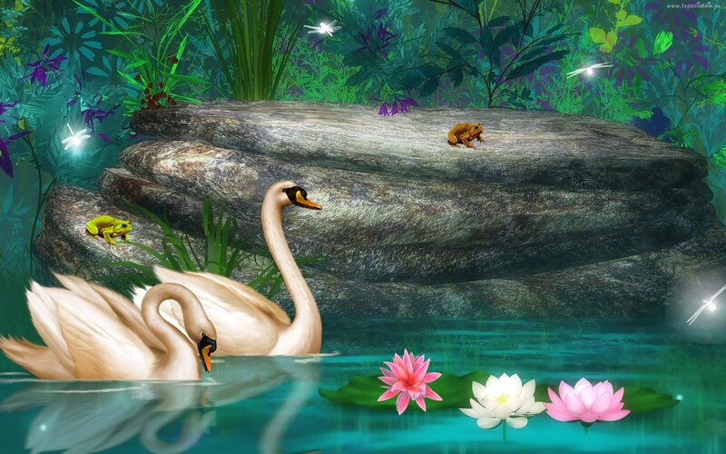 Swans in Pond — Green, Serene