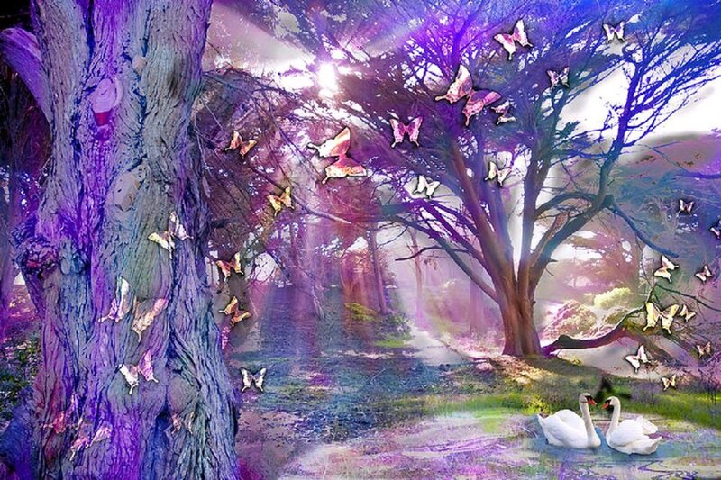 Swans in Purple Forest