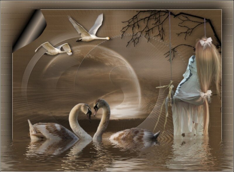 Swans in Water — Brown