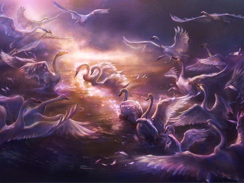 Swans in Water — Purple