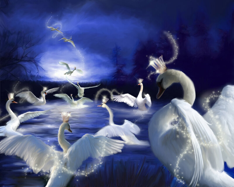 Swans in Water