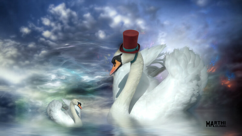 Swans in Water — White, Dramatic