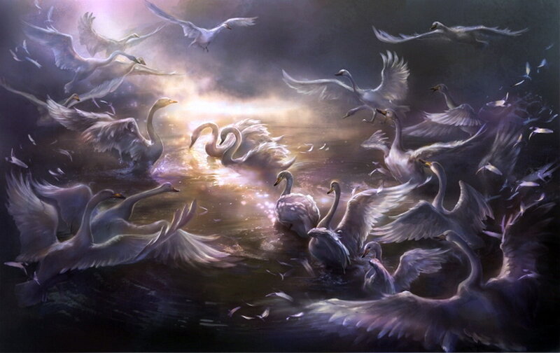 Swans in Water — White