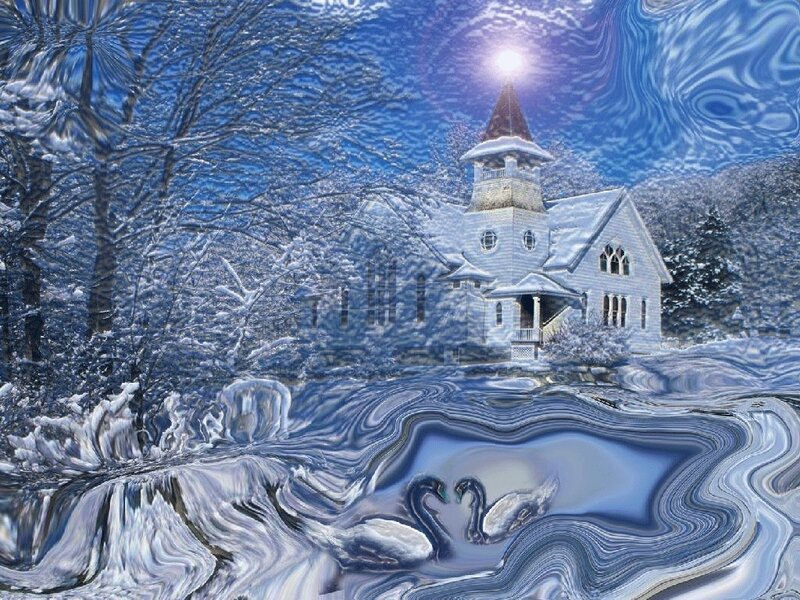Swans in Winter Landscape