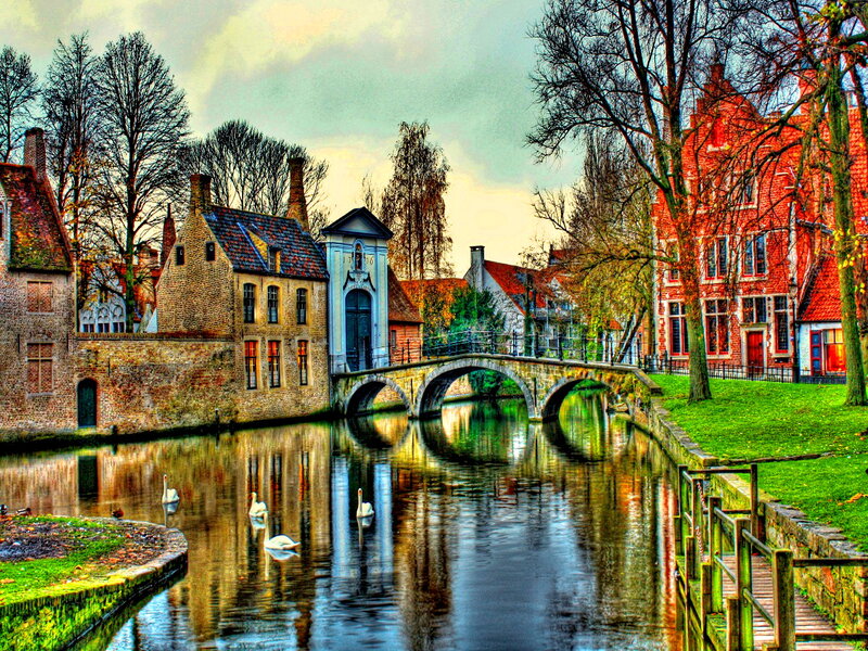 Swans on a Canal — Green, Serene, Autumn