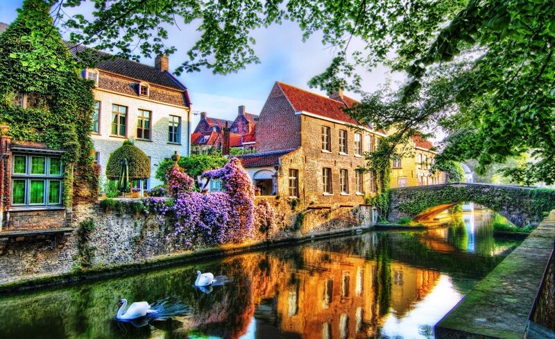 Swans on a Canal — Green