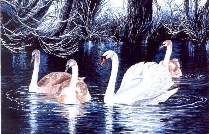 Swans on a dark river