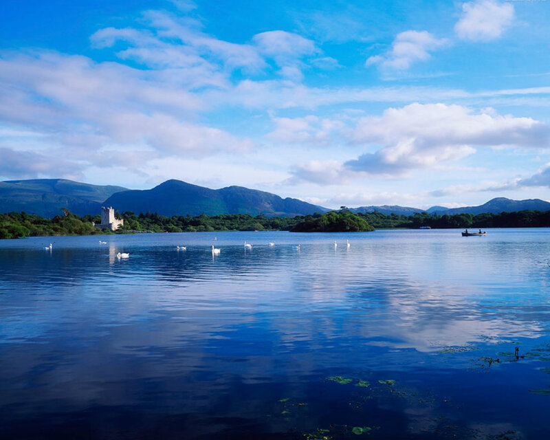 Swans on a Lake — Blue, Serene, Afternoon, Photograph, Castle