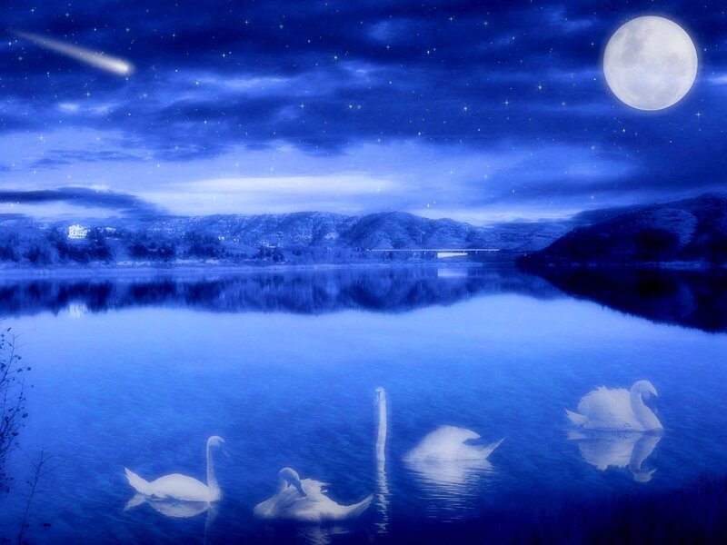 Swans on a Lake — Blue, Serene, Night, Digital Art, Moon, Stars