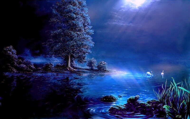 Swans on a Lake — Blue, Serene, Night, Digital Art, Tree, Moonlight