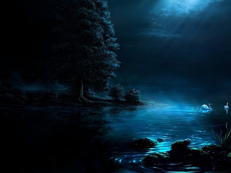 Swans on a Lake — Blue, Serene, Night, Digital Art, Tree, Rocks