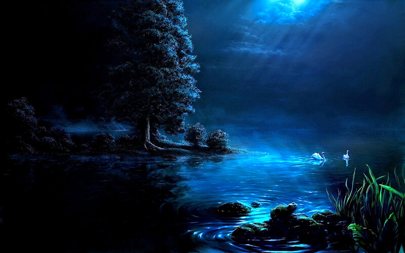 Swans on a Lake — Blue, Serene, Night, Digital Art, Tree