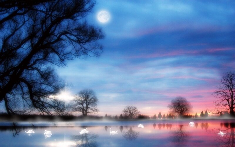 Swans on a Lake — Blue, Serene, Night
