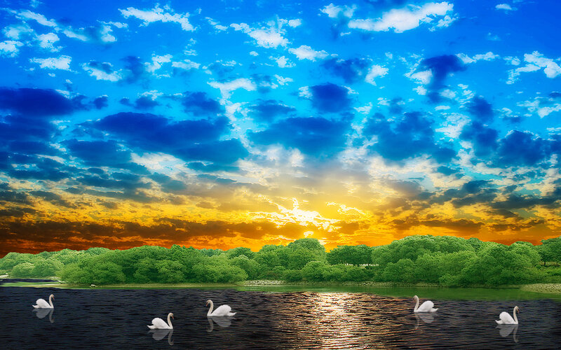 Swans on a Lake — Blue, Serene, Sunset, Digital Art