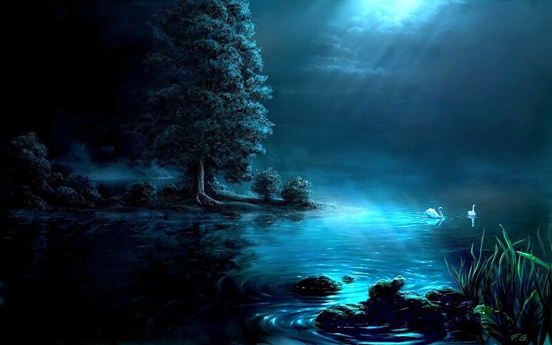 Swans on a Lake — Blue, Serene