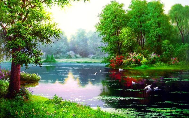Swans on a Lake — Green, Serene, Morning, Painting