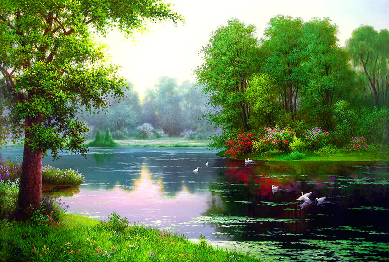 Swans on a Lake — Green, Serene, Morning
