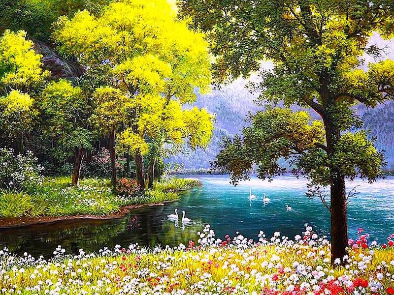 Swans on a Lake — Green, Serene, Spring