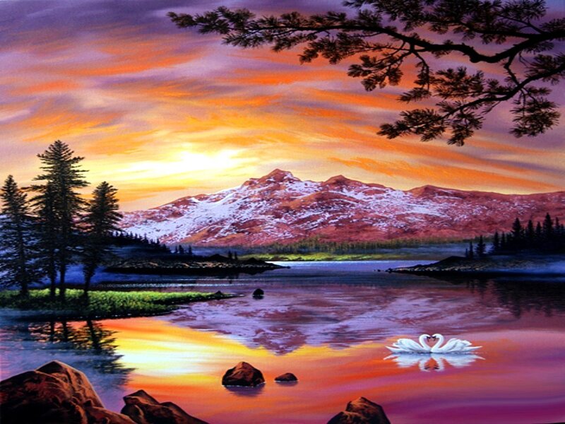 Swans on a Lake — Orange, Serene, Sunset