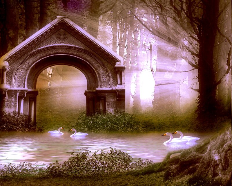 Swans on a Lake — Purple, Serene, Night