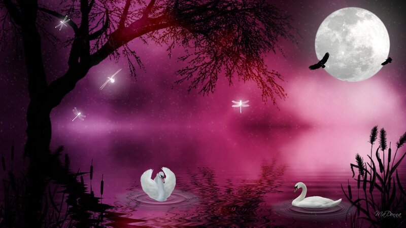 Swans on a Lake — Purple, Serene