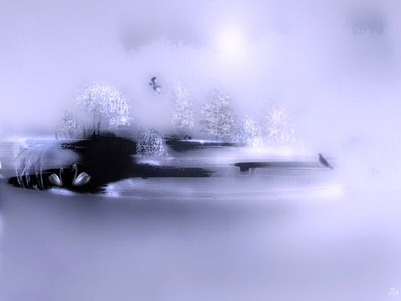 Swans on a Lake — White, Serene