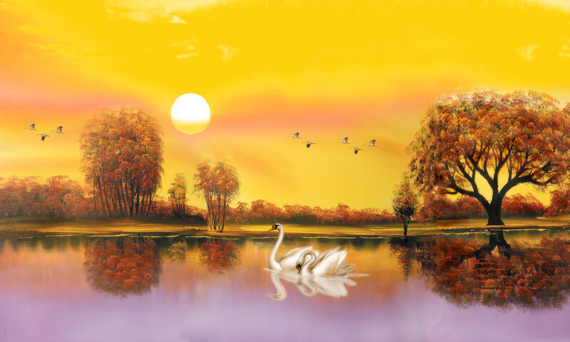 Swans on a Lake — Yellow, Serene