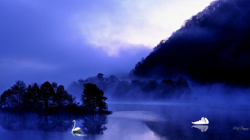 Swans on a Misty Lake — Blue
