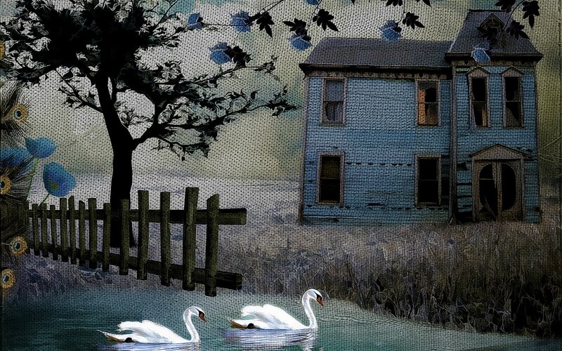 Swans on a Pond — Blue, Serene, Illustration