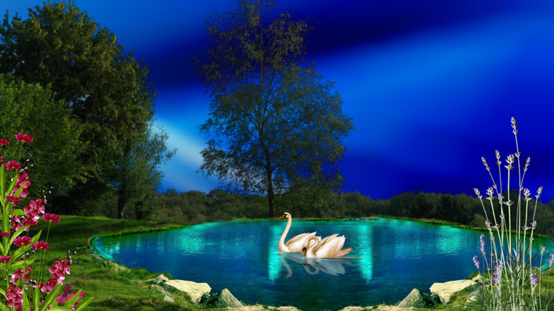 Swans on a Pond — Blue, Serene, Night, Digital Art