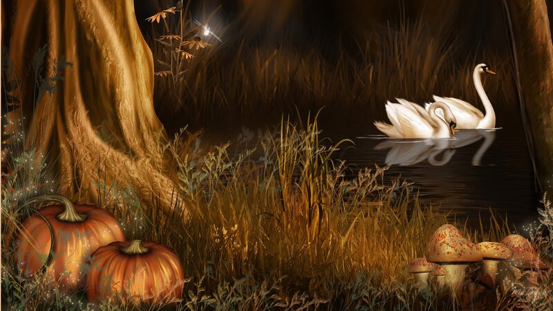 Swans on a Pond — Brown