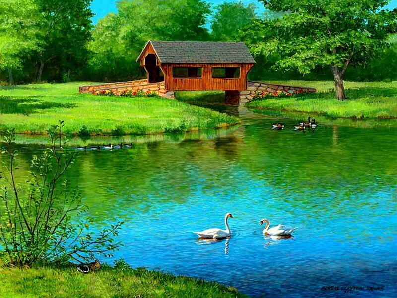 Swans on a Pond — Green, Serene, Afternoon