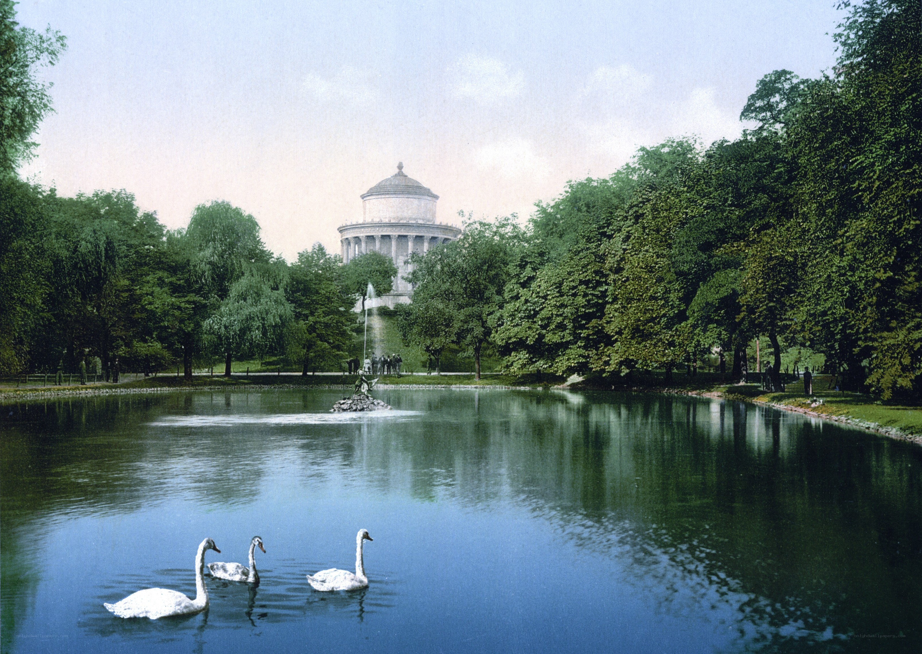 Swans on a pond with monument