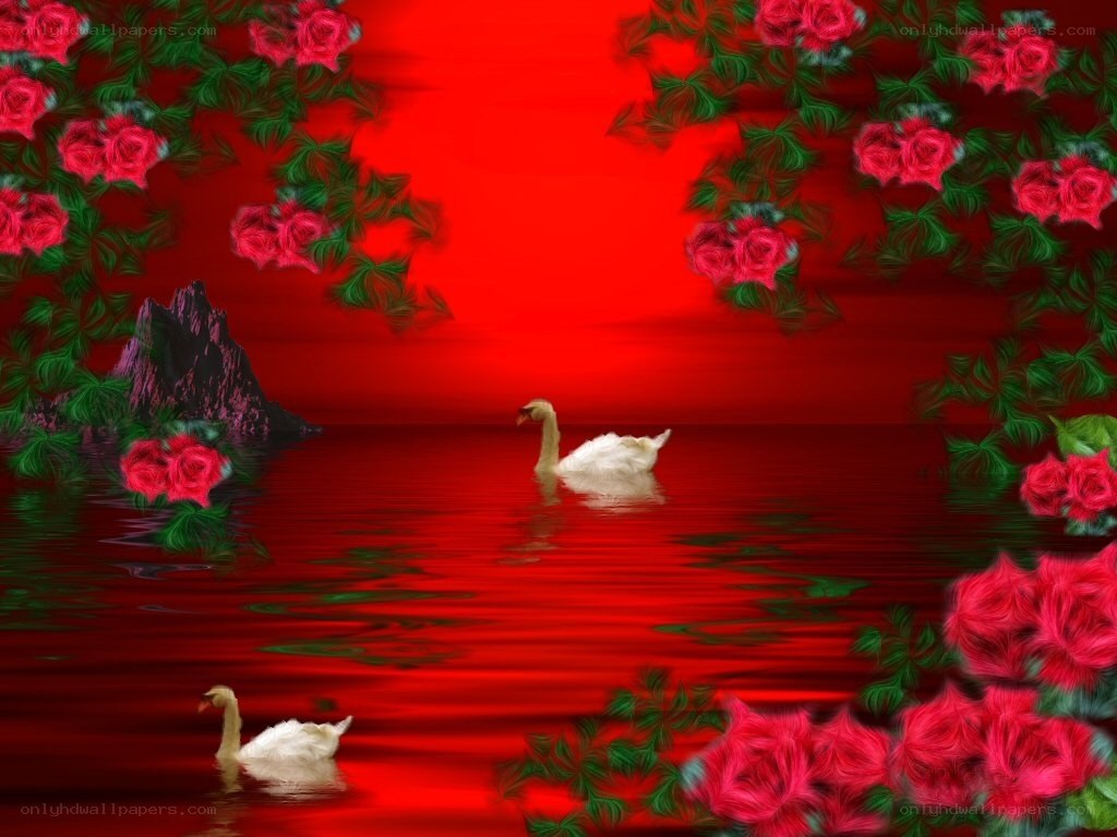 Swans on a red lake