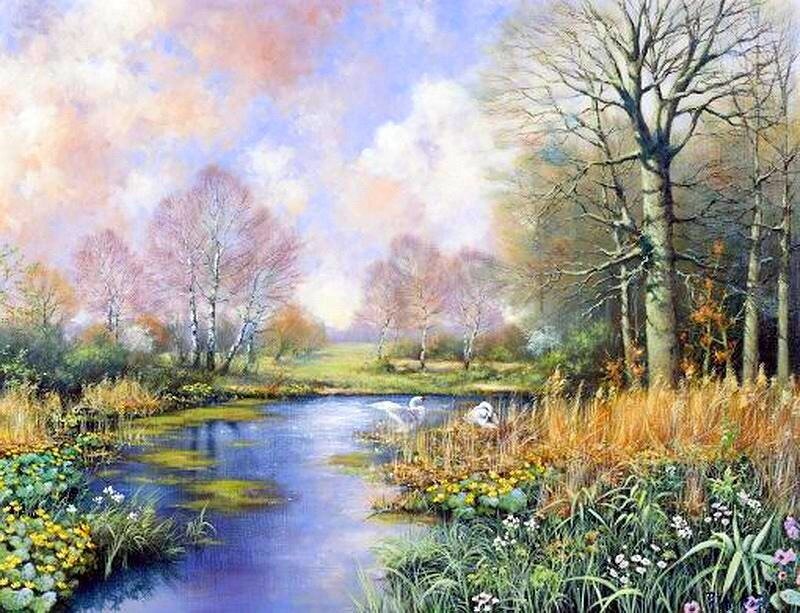 Swans on a River