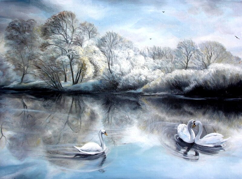 Swans on a River — White