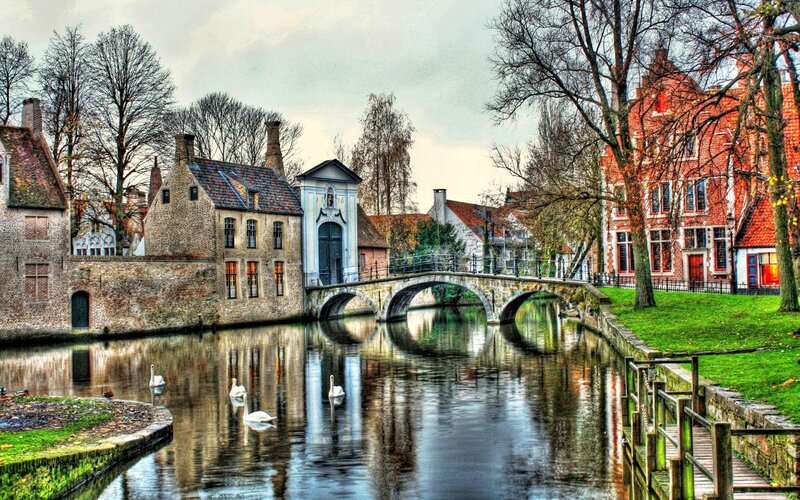 Swans on Canal — Green