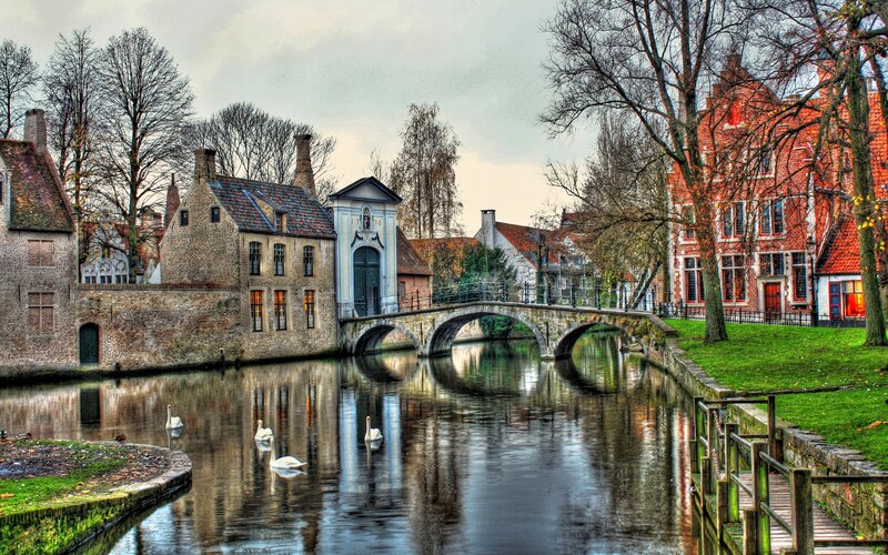 Swans on Canal