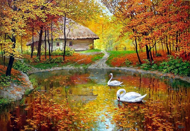 Swans on Pond