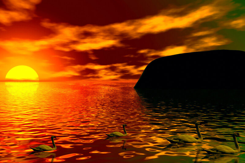Swans on Water — Orange, Dramatic, Sunset, Digital Art