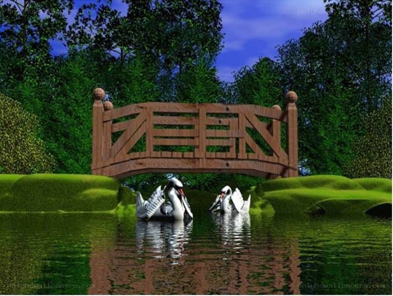 Swans under a wooden bridge
