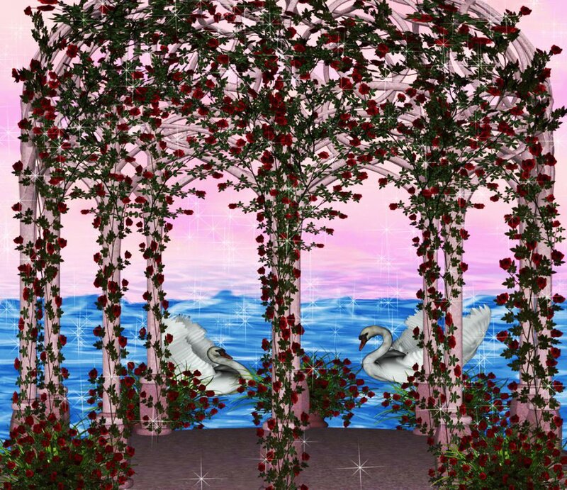 Swans under Rose Arbor