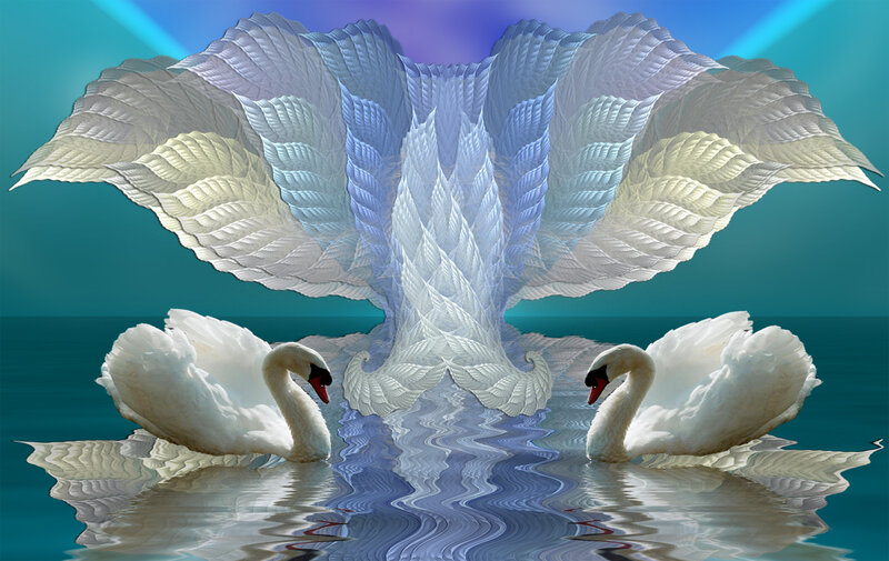 Swans with fractal wings