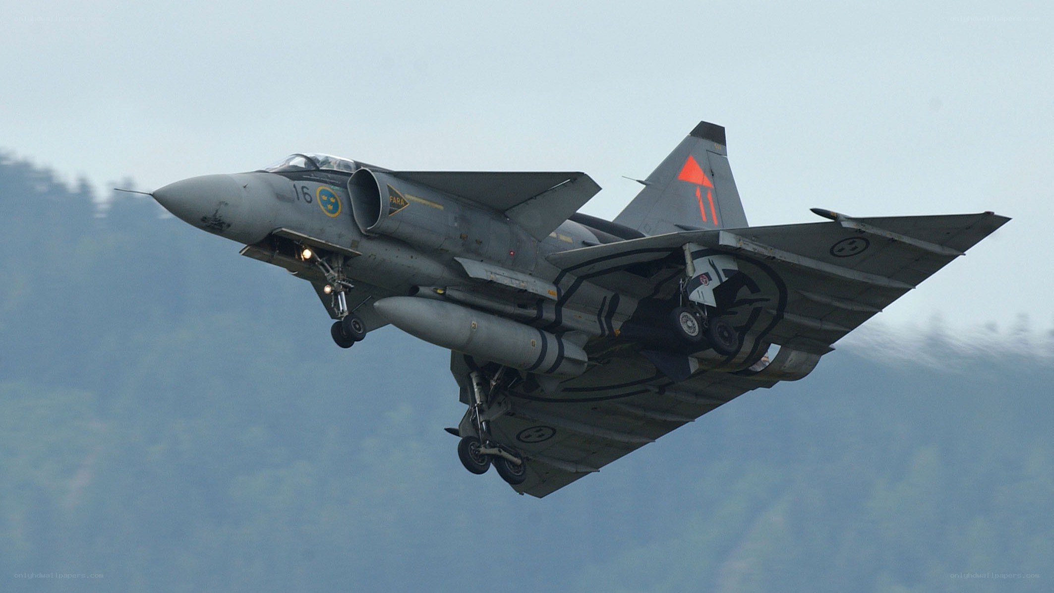Swedish fighter jet in flight