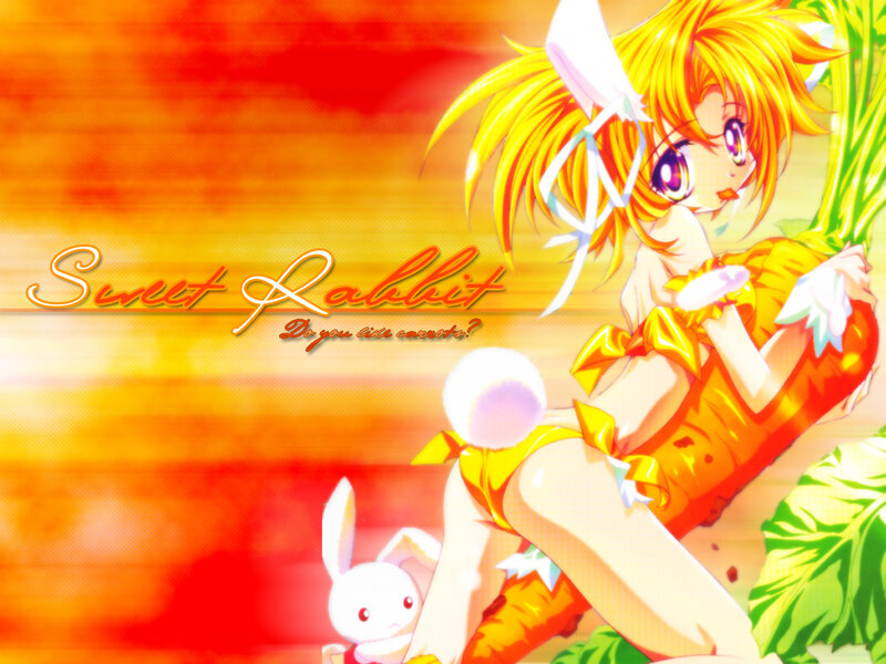 Sweet Rabbit character art