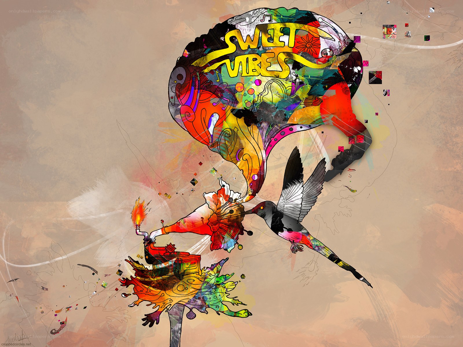 Sweet Vibes Artwork